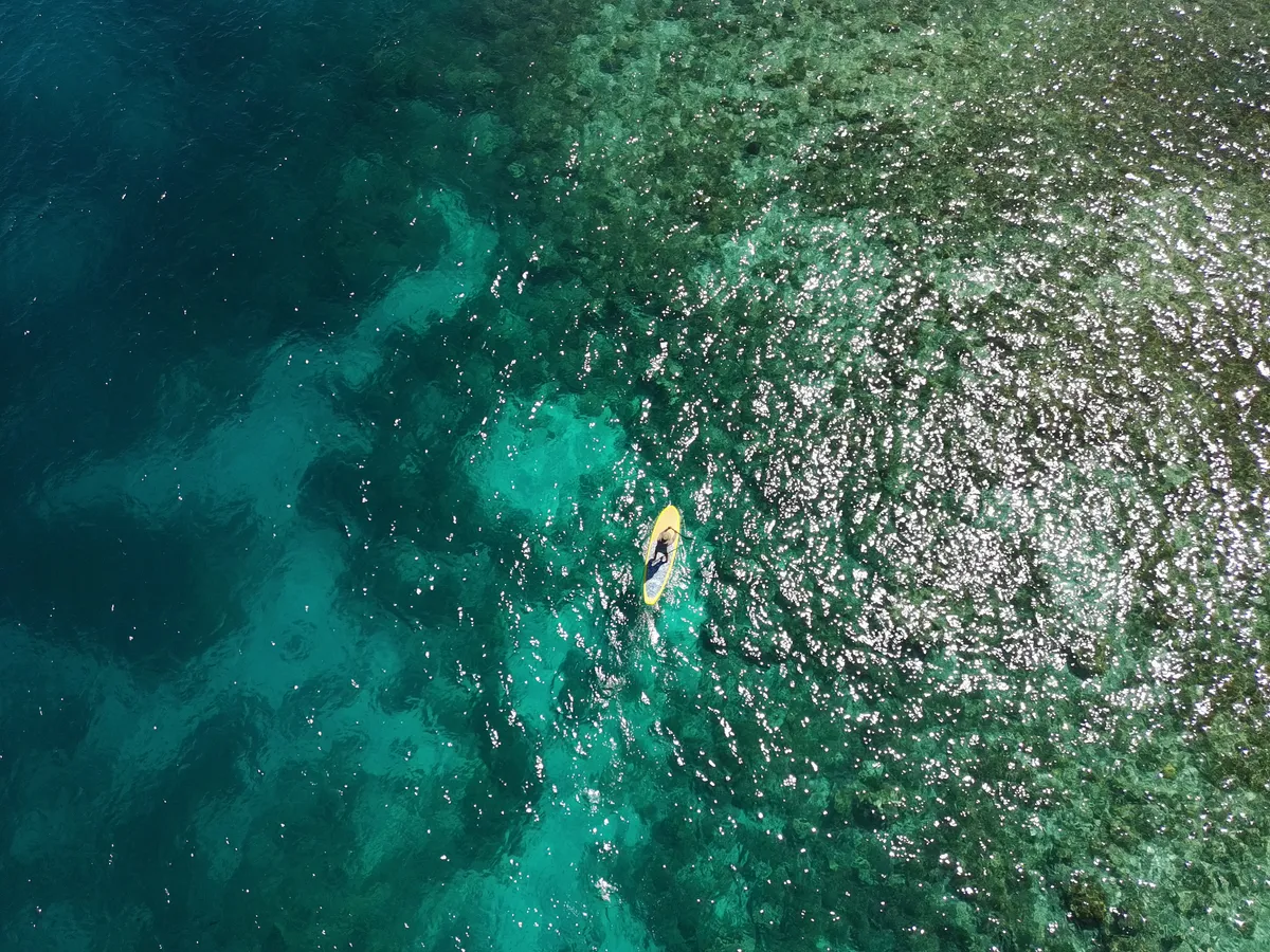 water-sports media